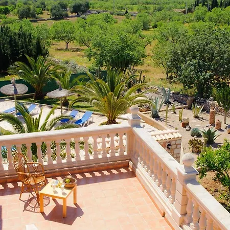 Cullera Calonge (Mallorca)